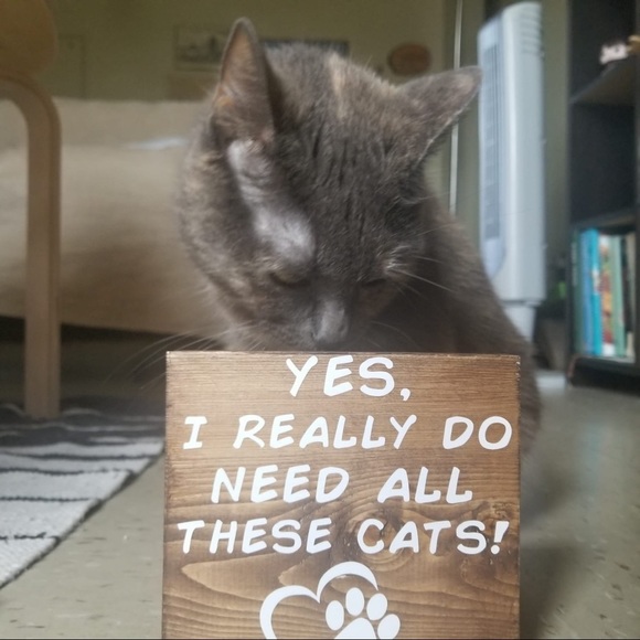 HANDMADE Cat Sign - Picture 2 of 4